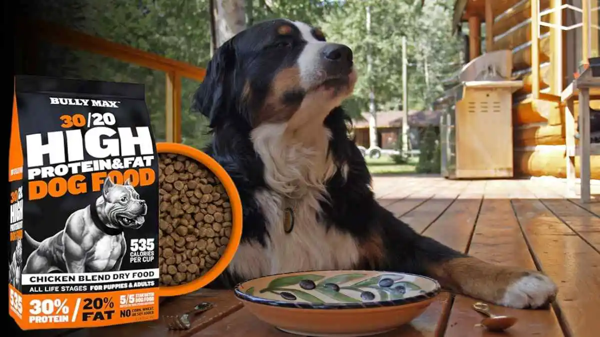 Affordable High-Protein Dog Food